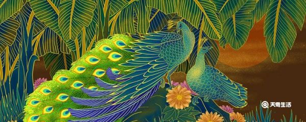 美丽的山鸡这个故事告诉我们什么道理 山鸡起舞的故事告诉我们什么道理