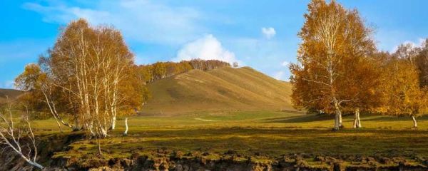 秋天在什么里,后面怎么写一年级 秋天在什么里后面怎么写一年级公园