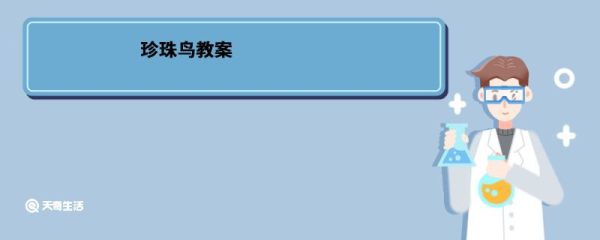 珍珠鸟教案 珍珠鸟教案内容