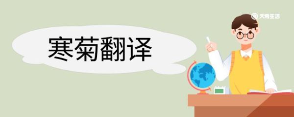 寒菊翻译 寒菊的翻译