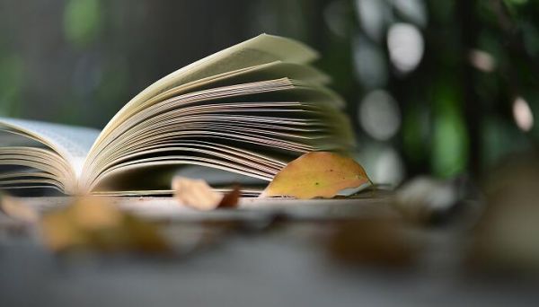 从保尔身上汲取到什么精神 从保尔身上汲取到的精神