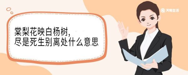 棠梨花映白杨树,尽是死生别离处什么意思 棠梨花映白杨树尽是死生别离处翻译