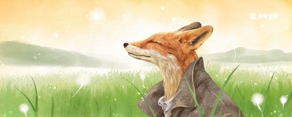 狐狸和猴子告诉我们一个什么道理 狐狸和猴子告诉我们一个什么道理二年级