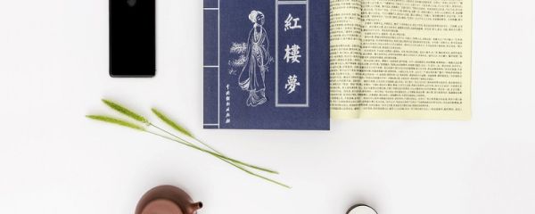 红楼梦48回概括 红楼梦48回的概括