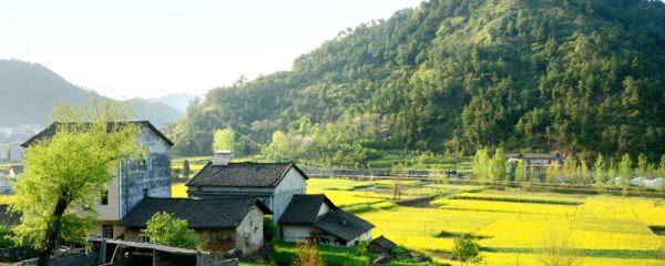 村居古诗意思 村居古诗解释