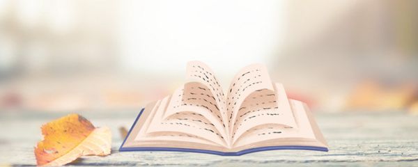 寂静的春天经典语录 寂静的春天经典语录有什么