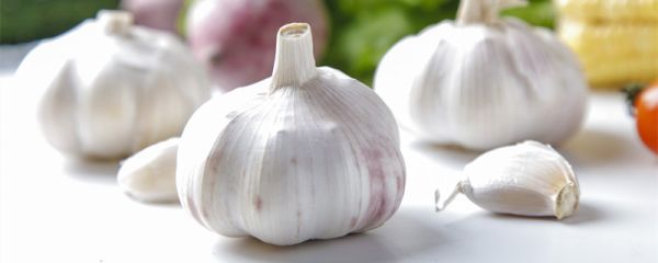 《卖蒜叟》讲述了什么道理 《卖蒜叟》的道理