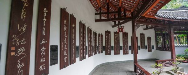 语不惊人死不休出自唐代杜甫的江上值水如海势聊短述其体裁是 《江上值水如海势聊短述》原文