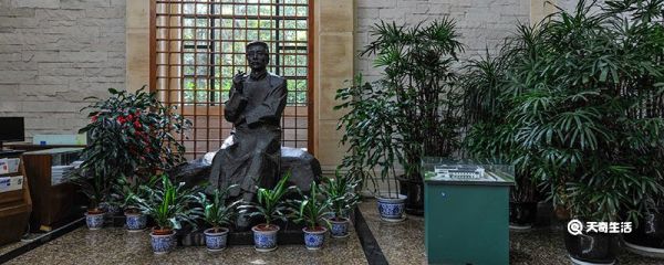 安特列夫对鲁迅的影响及其意义 哪些外国作家影响鲁迅