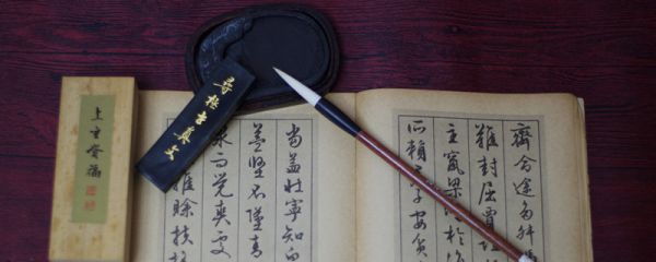 鲁施氏有二子文言文翻译 鲁施氏有二子文言文翻译有什么