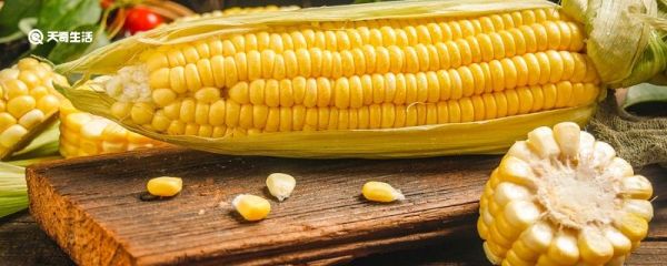 春玉米最早播种时间 春天玉米什么时候播种