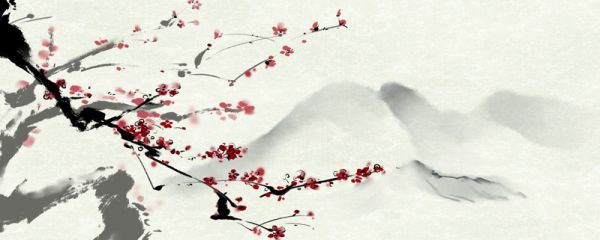 梅花王安石赏析 梅花宋王安石古诗诗意