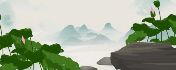 赞美莲花纯洁的诗句摘抄 关于赞美莲花纯洁的诗句