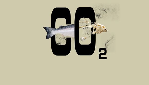2co2中2的含义 2co2中2的含义是什么