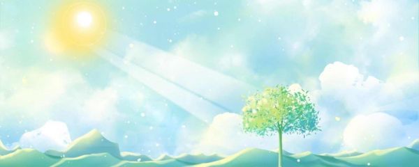 描写夏至的唯美短句