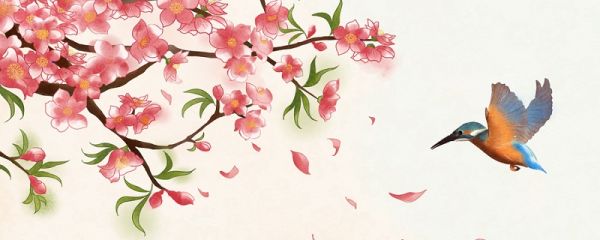 二鹊救友文言文翻译  二鹊救友文言文译文