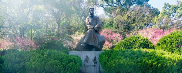 伤逝赏析 伤逝全文赏析