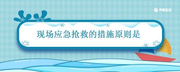 现场应急抢救的措施原则是 现场急救原则有哪些