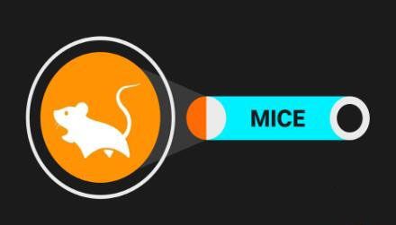 Mice是什么币？MICE币优缺点和未来前景分析