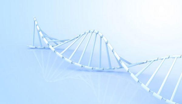nmn和nad+的区别 nmn和nadh的区别