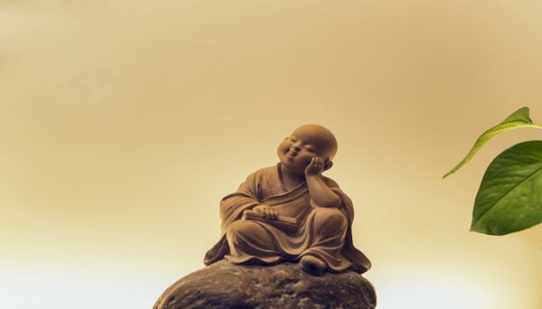 保养红珊瑚的清油是什么油  保养红珊瑚的清油是用的什么油