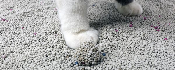 膨润土是干什么用的 膨润土干嘛用的