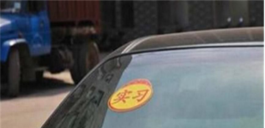 车内有蚊子怎么办？