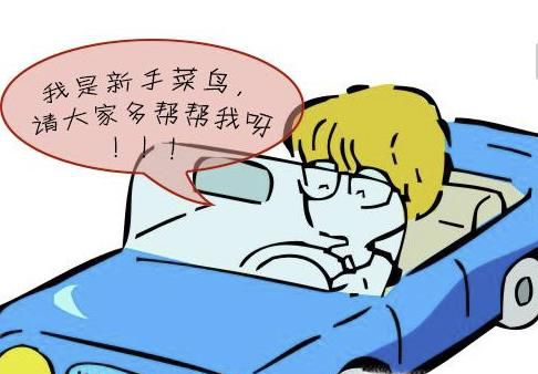 怎么开车？新手怎么开车好？