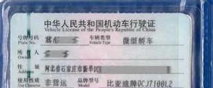 怎么查车辆识别代号