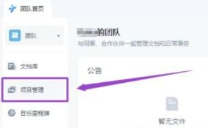 WPS小团队怎么设置成员可编辑所有项目管理任务