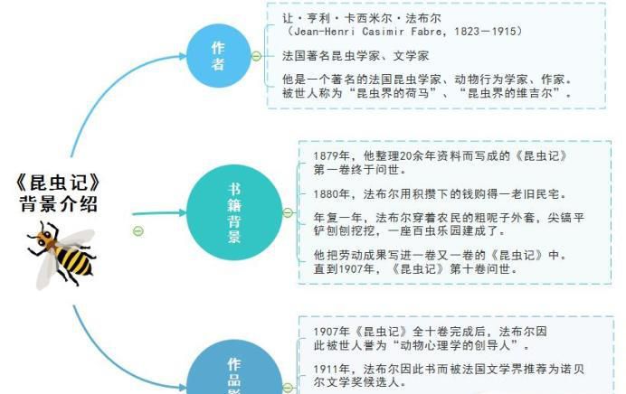思维导图解读昆虫记