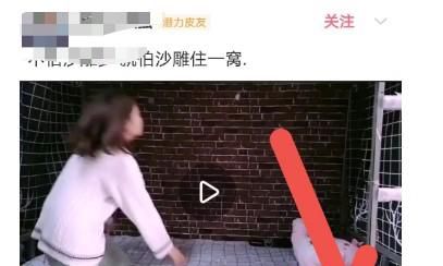皮皮虾怎么开启儿童或青少年模式