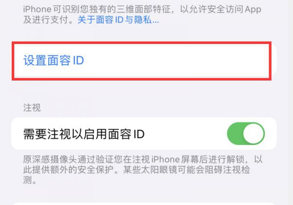 iphone面容设置不了