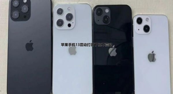 苹果手机13震动打开了但不震动