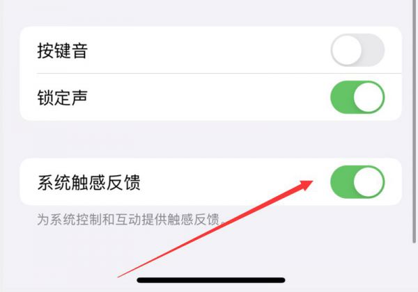 苹果手机13震动打开了但不震动