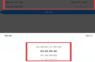 怎么查询自己交了几险