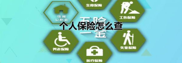 个人保险怎么查