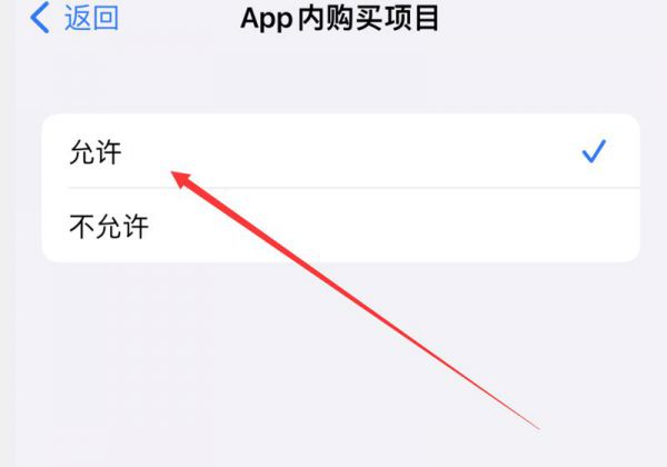 为什么苹果支付不了游戏充值