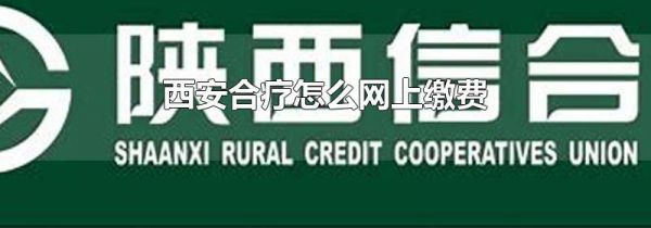 西安合疗怎么网上缴费