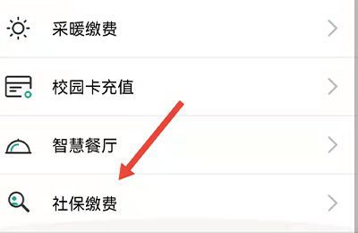 西安合疗怎么网上缴费