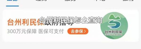 台州利民保怎么查询