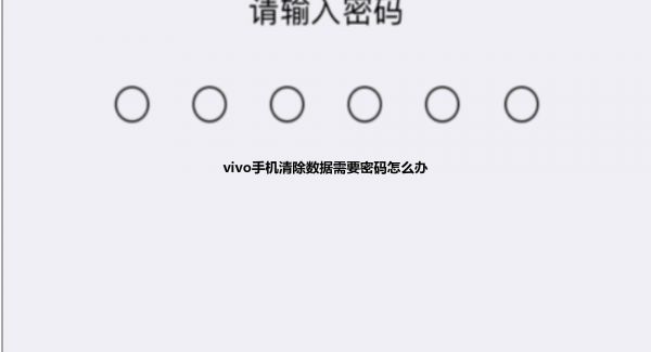 vivo手机清除数据需要密码怎么办