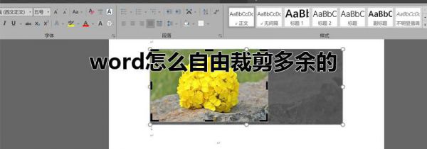 word怎么自由裁剪多余的