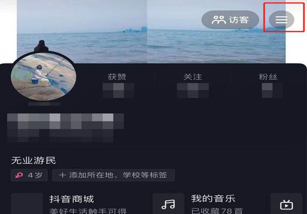 怎么看抖币花哪里了