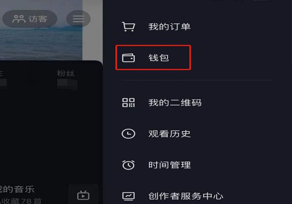 怎么看抖币花哪里了