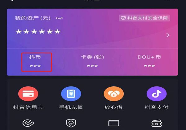怎么看抖币花哪里了