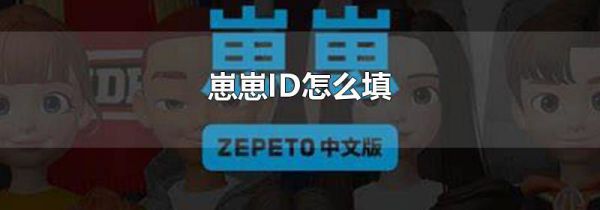 崽崽ID怎么填