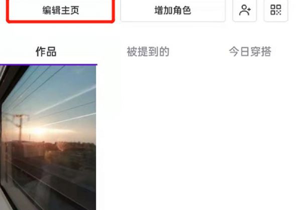 崽崽ID怎么填