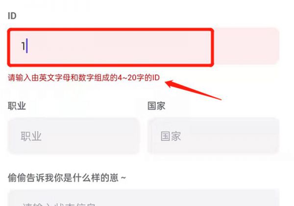 崽崽ID怎么填