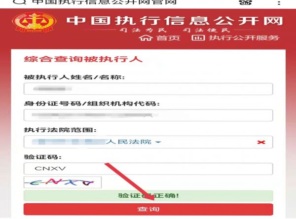 被执行人信息怎么查